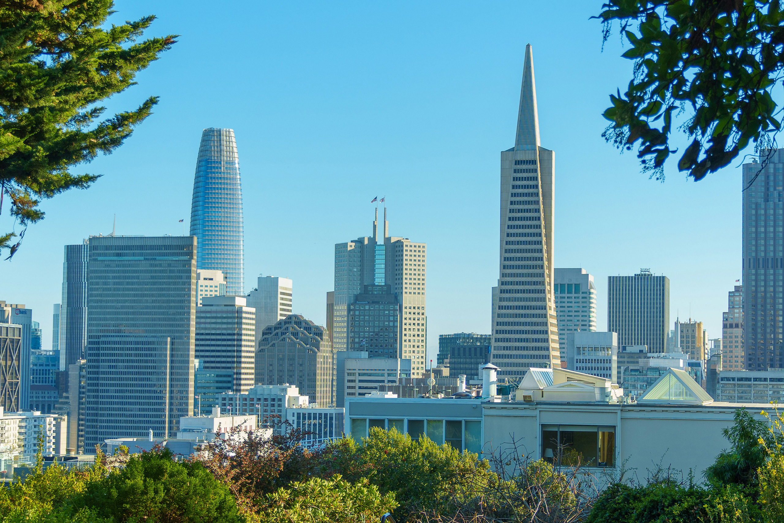 San Francisco | California