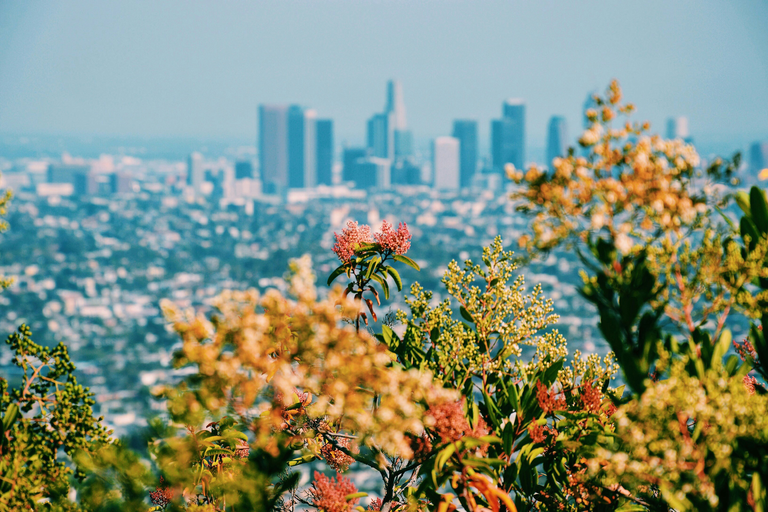Los Angeles | California