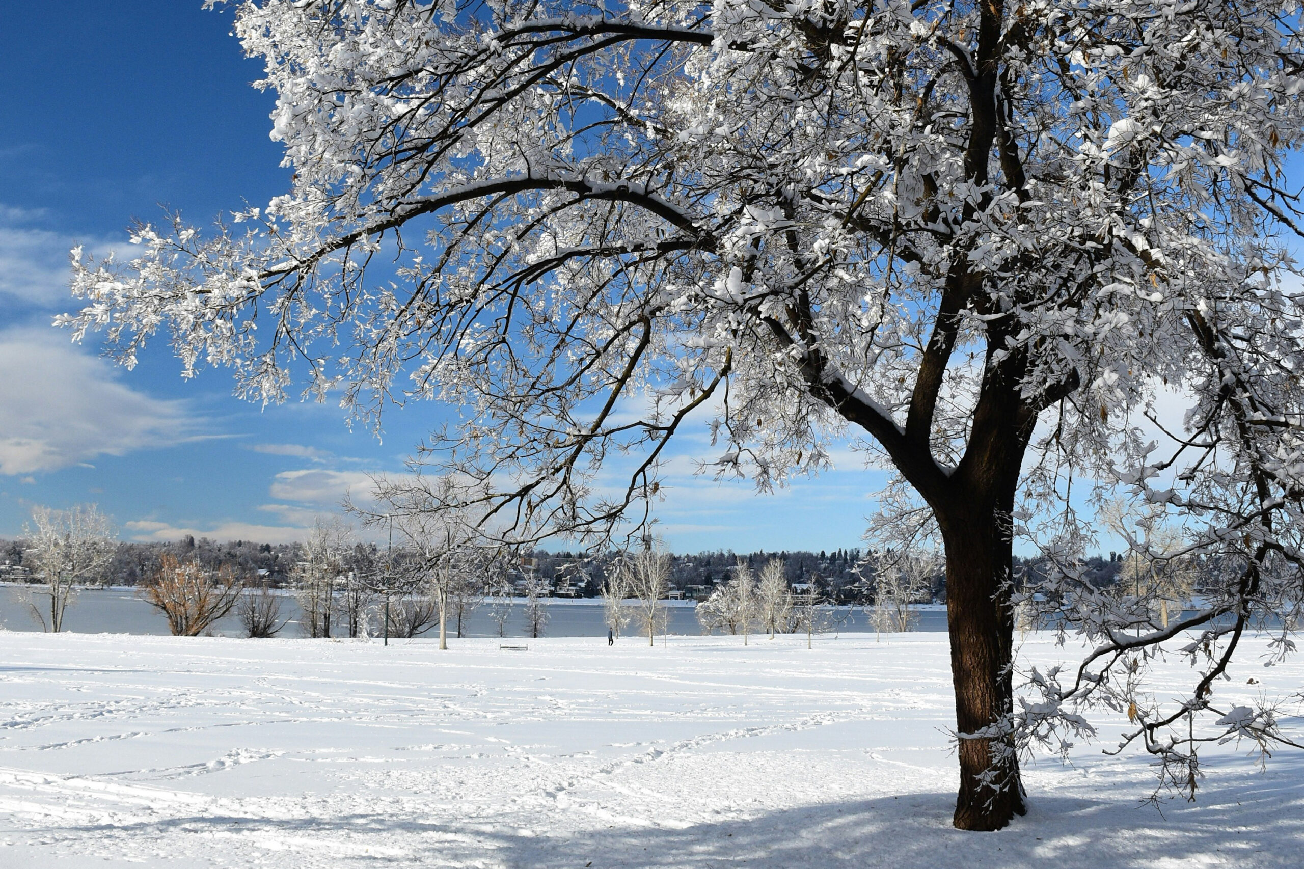Sloan's Lake Park, Denver, CO