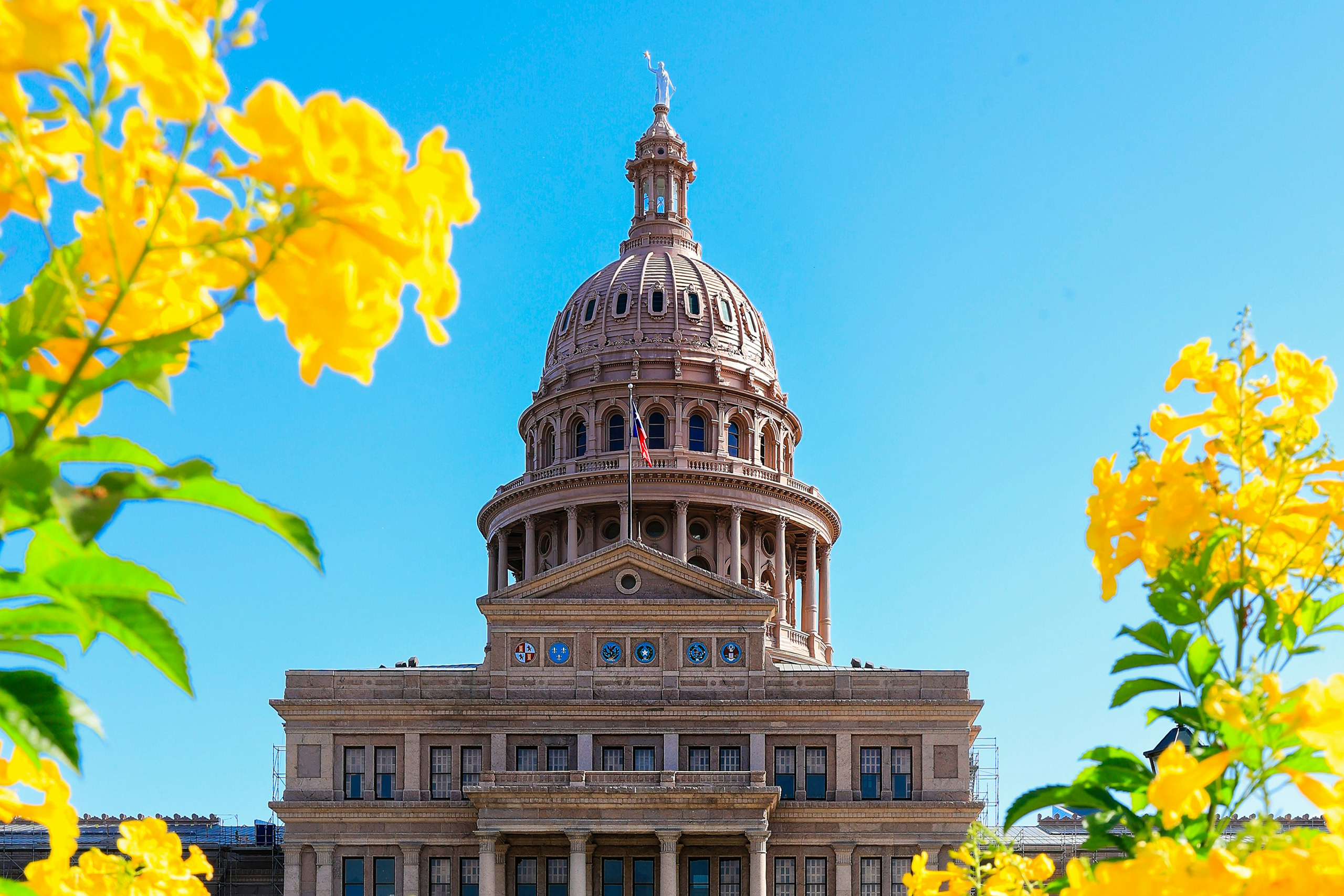 Texas State Capitol, Congress Avenue, Austin, TX, USA