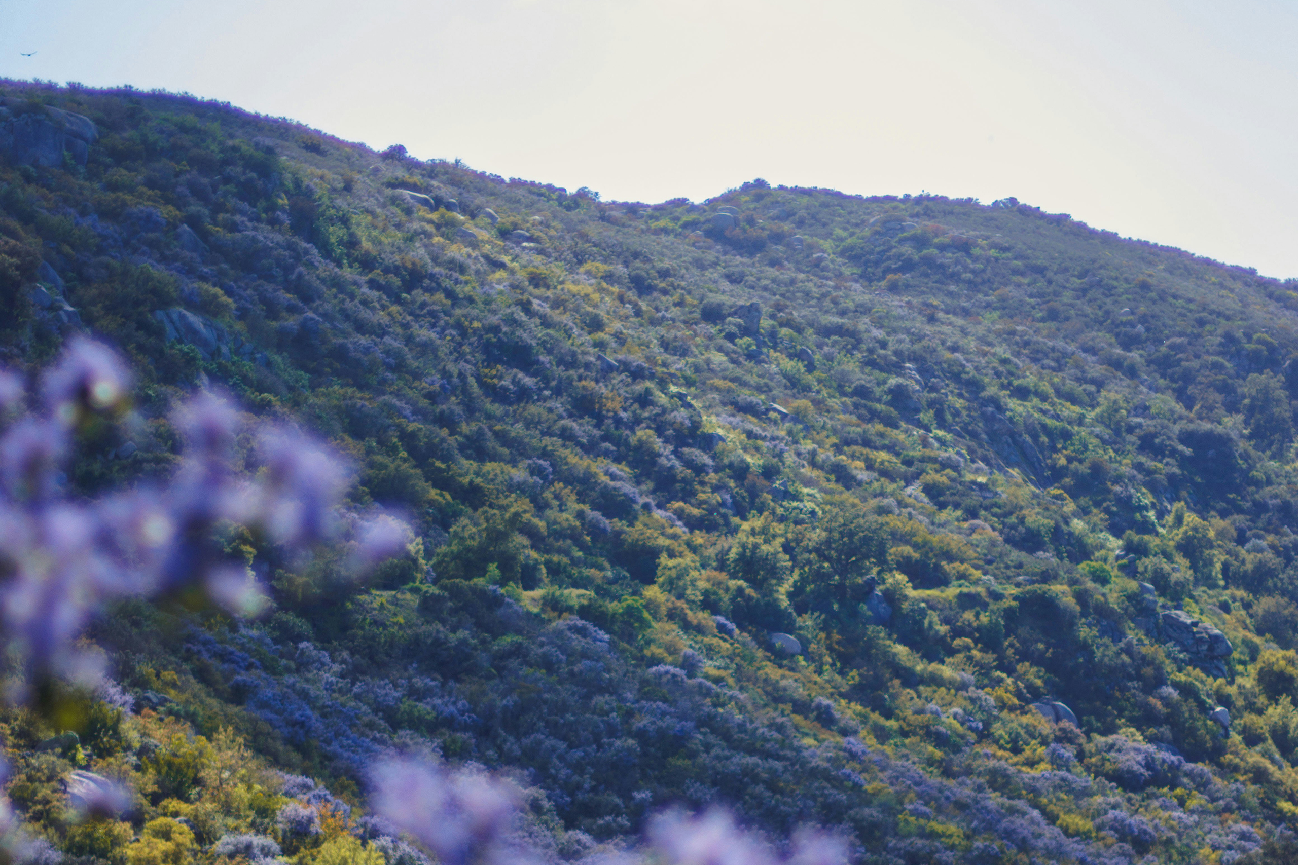 San Diego | California