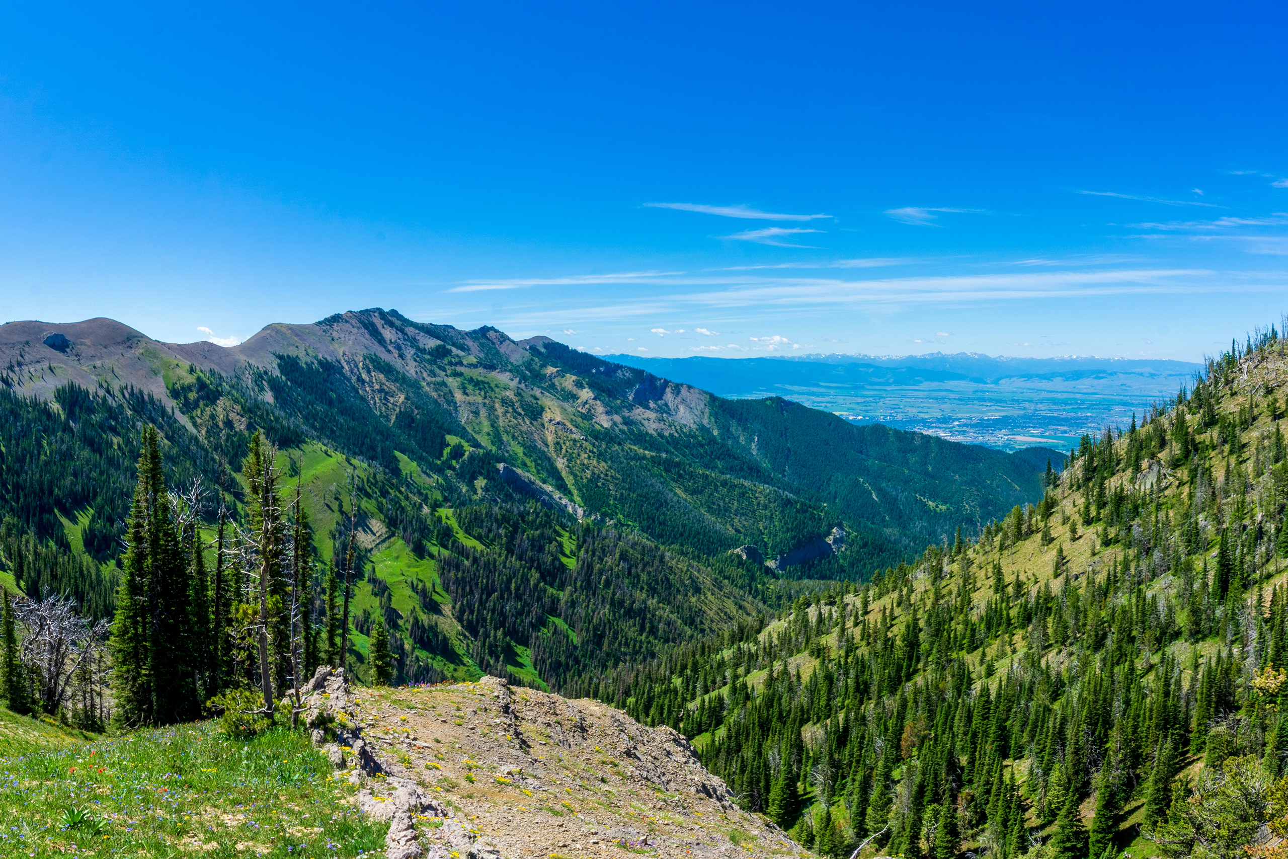 Photo by Trevor Vannoy on Unsplash